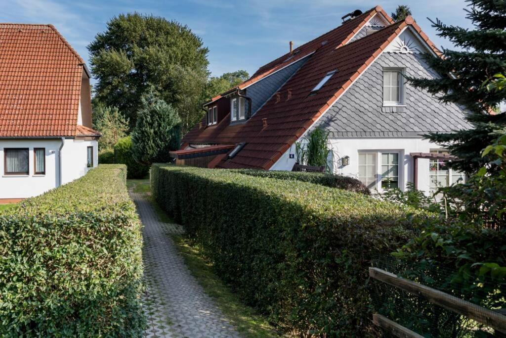 Weide - Gemutliches Ferienhaus Am Anger In Kloster, Insel Hiddensee Exterior photo